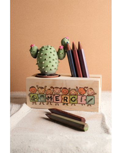Chocolat Crayons et cactus en chocolat